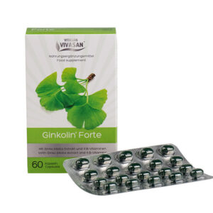 Ginkolin Forte Neidonhiuspuu - valmiste tabletteina 60kpl 400mg